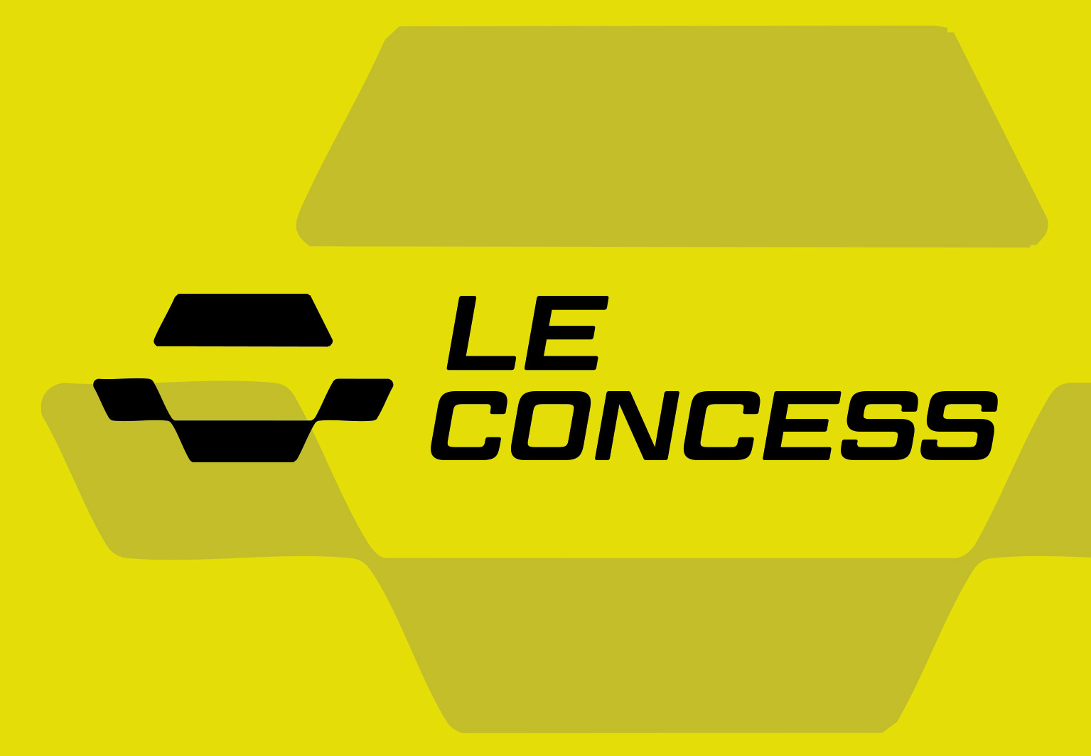 LOGO LE CONCESSS